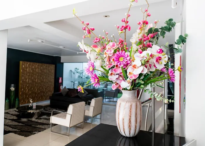 Apart Hotel Petit Palace Suites